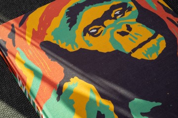 WITHIN: Walking with the Chimpanzees of Sanaga-Yong Rescue