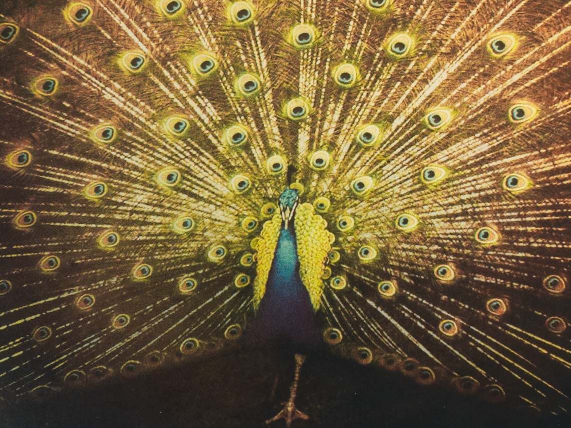 Which Side Are You On