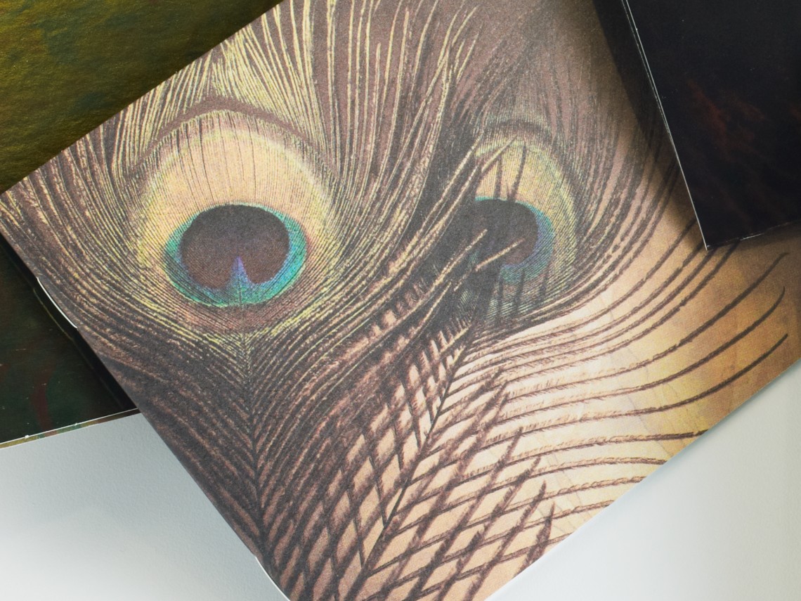 Which Side Are You On